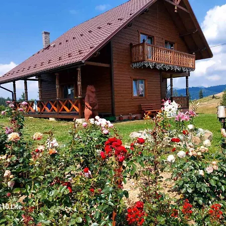 Карпатська Модринка Apartment Vorokhta Exterior photo