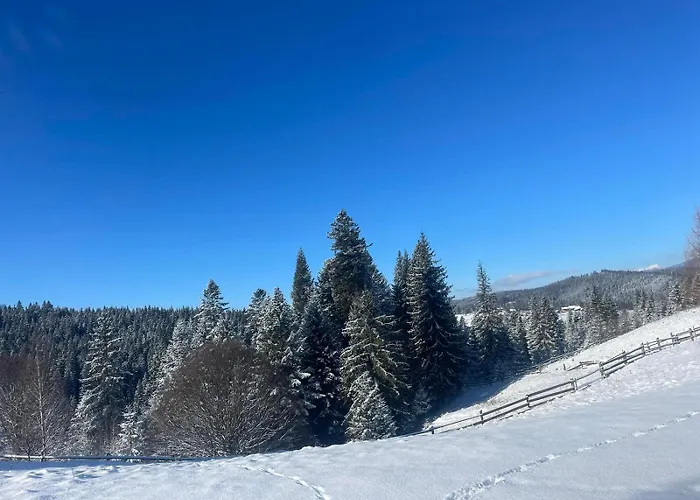Карпатська Модринка