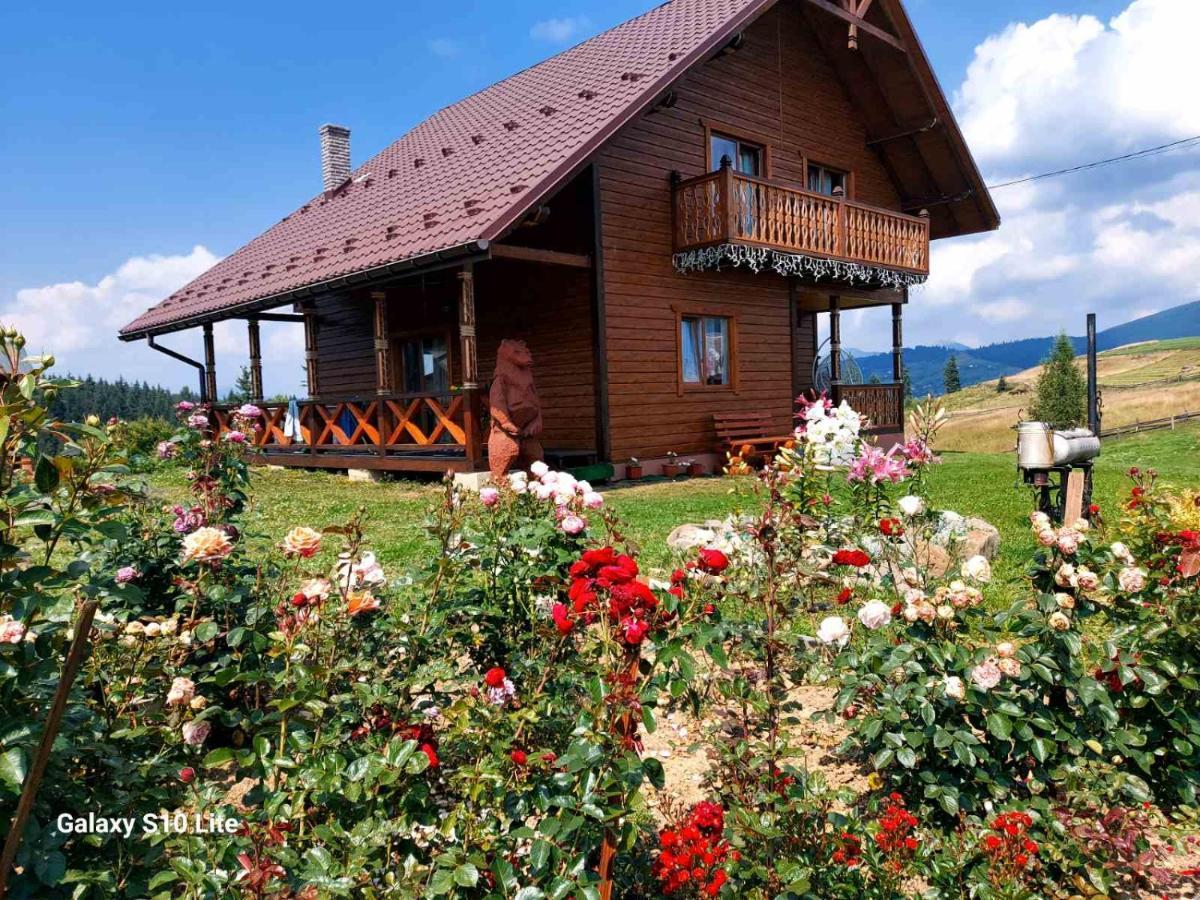 карпатська модринка Apartment Vorokhta