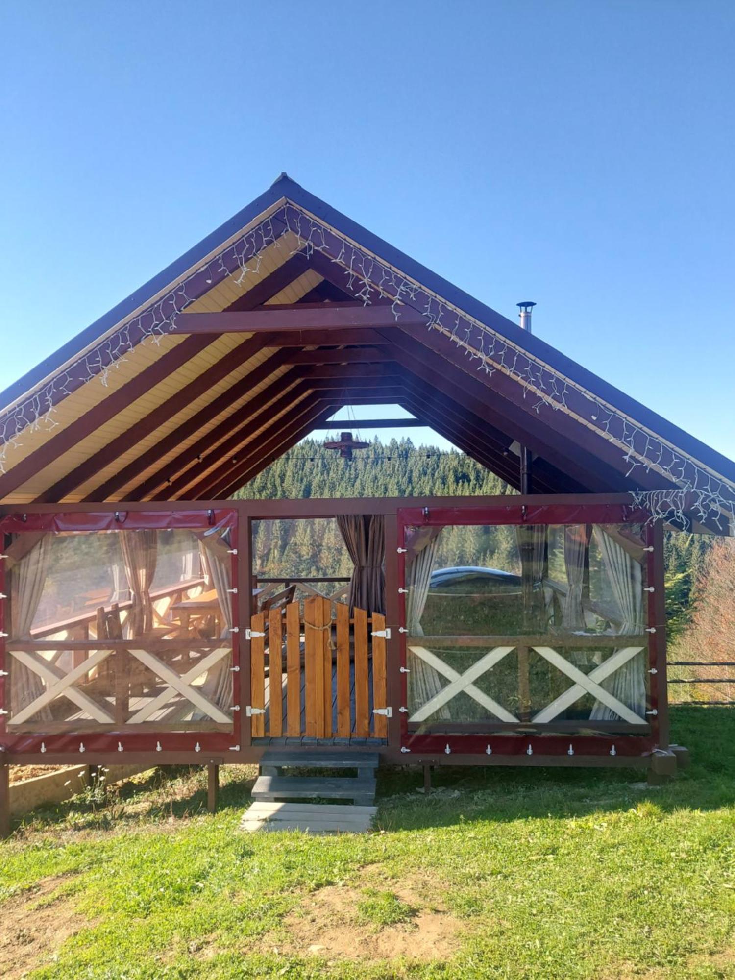 Apartment карпатська модринка