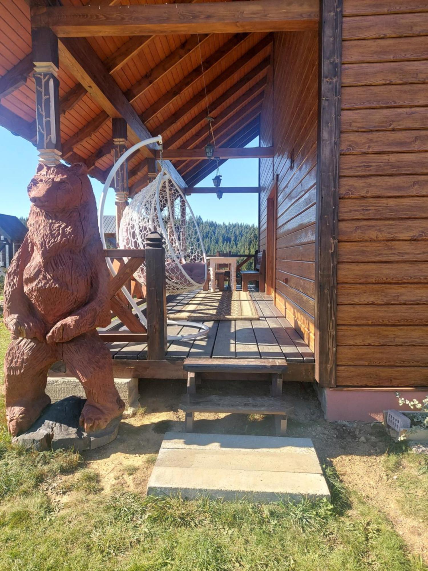 карпатська модринка Vorokhta